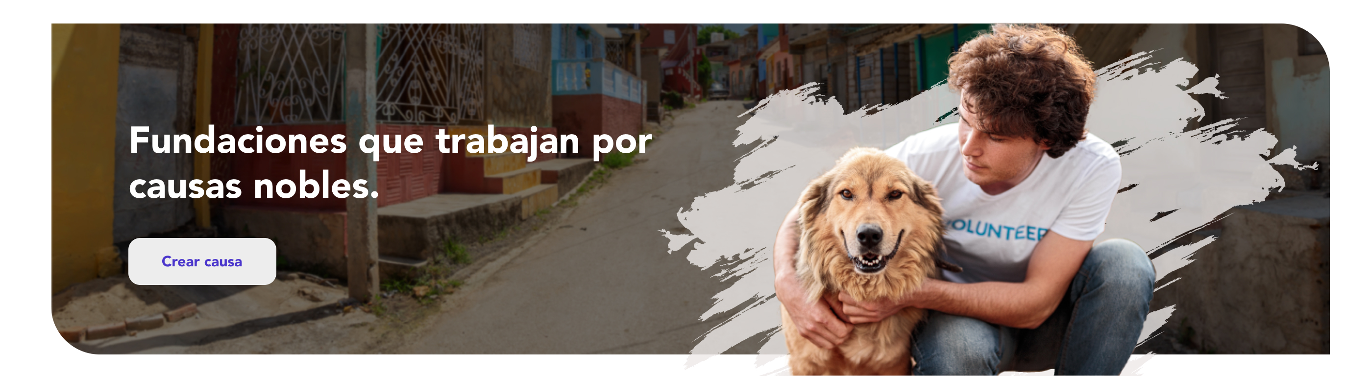 banner image